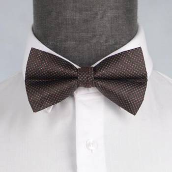 Бабочка мужская 0046