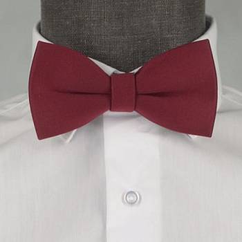 Бабочка мужская 0269