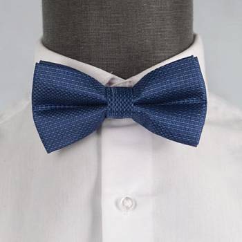 Бабочка мужская 0049